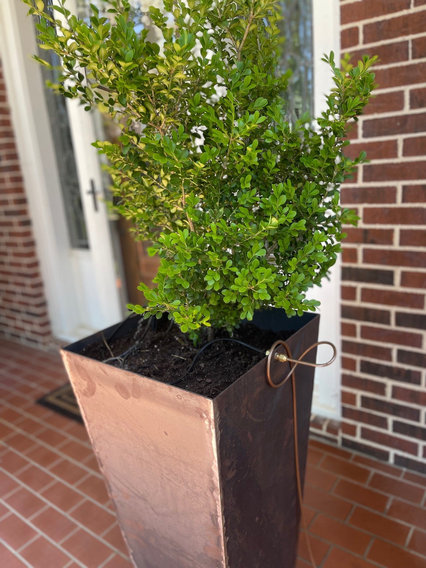 Tall Planter Box