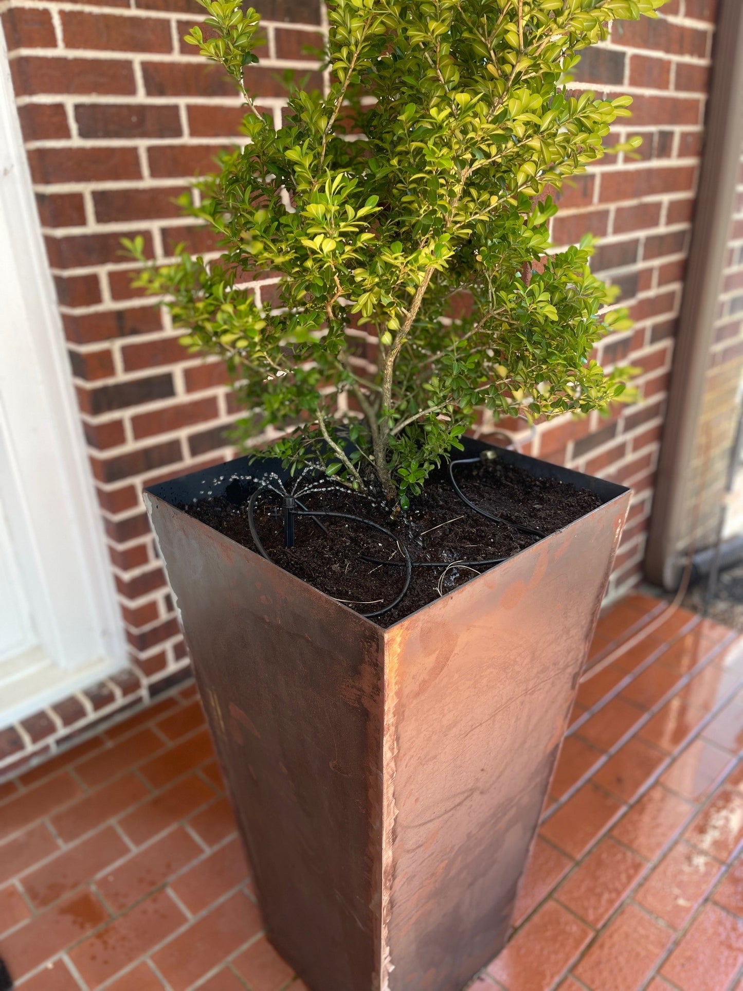 Tall Planter Box