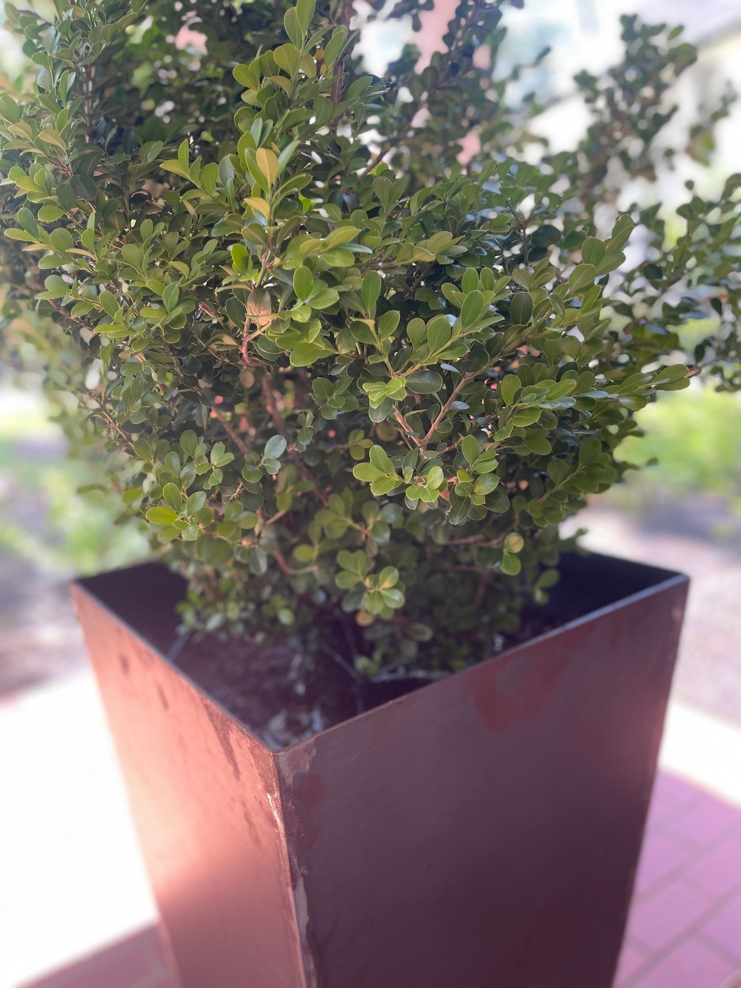 Tall Planter Box